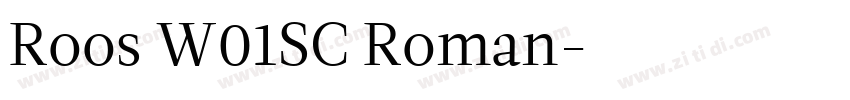Roos W01SC Roman字体转换